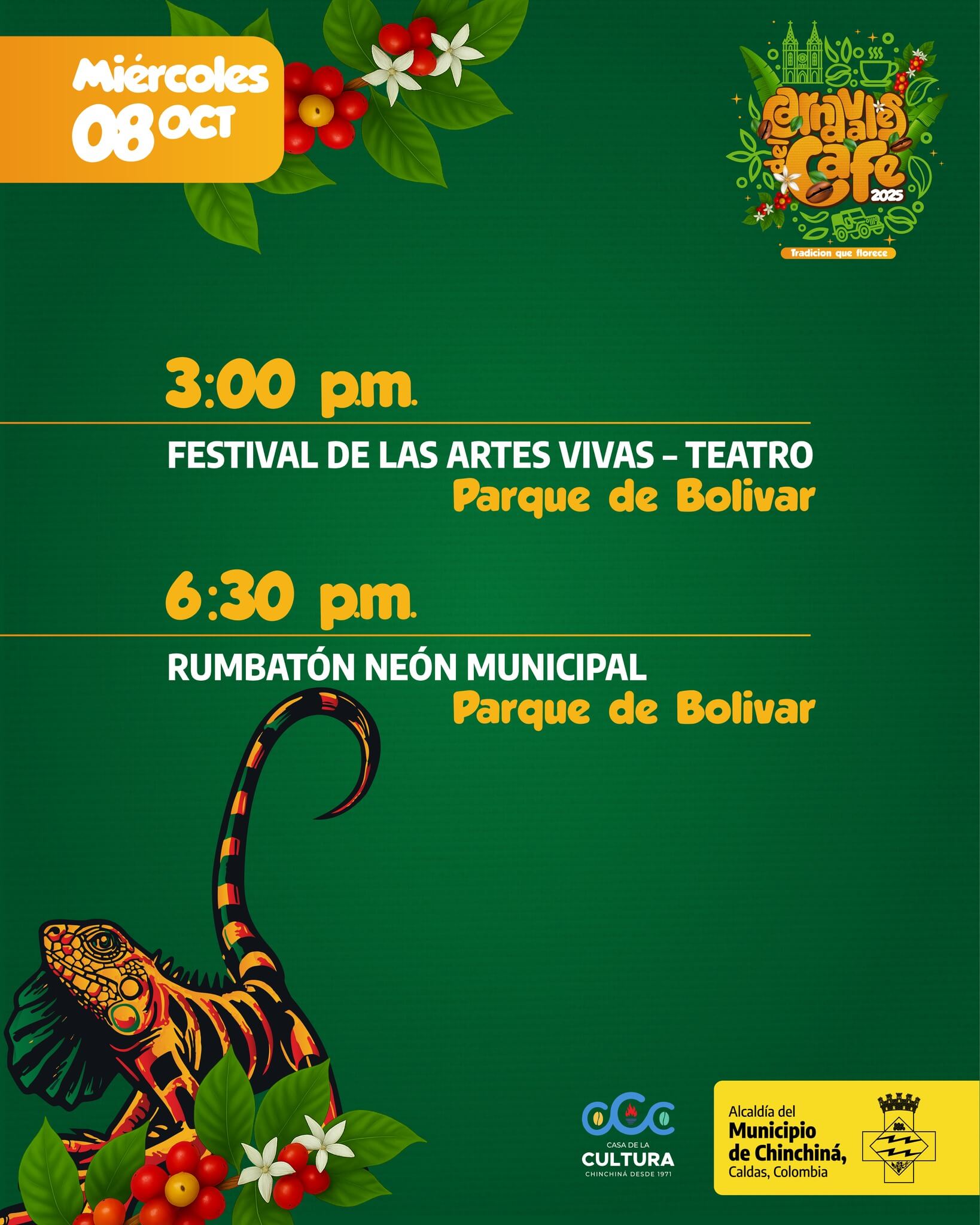 Imagen 6